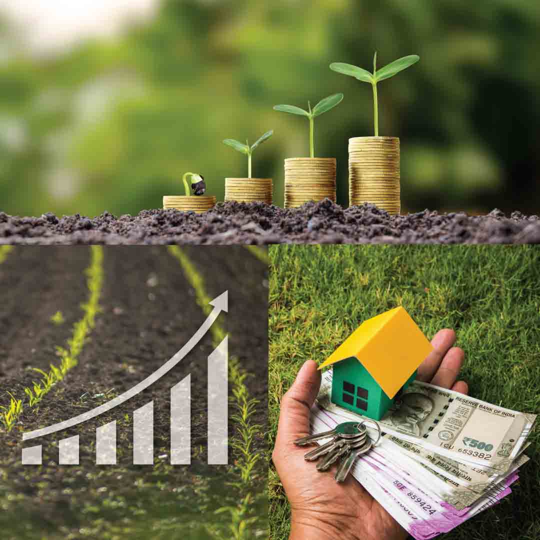 Farmland vs. Mutual Funds: Which Offers Better Investment Returns?